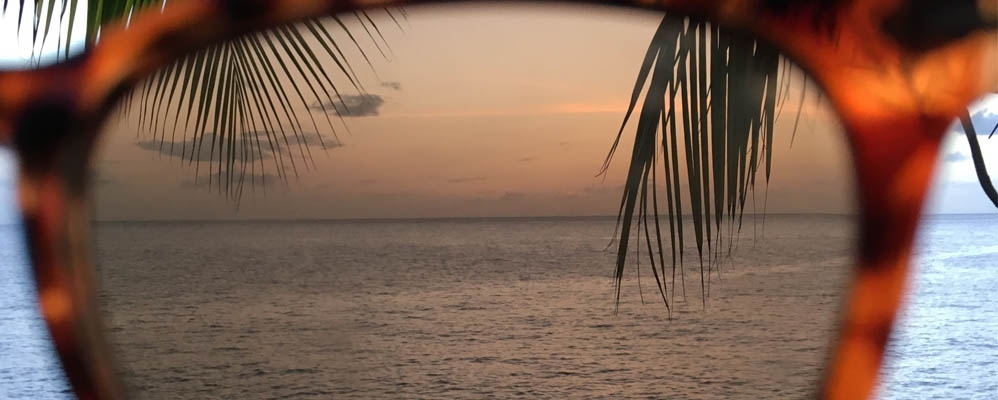 Portrait de Mike, chef de projet web en Martinique
